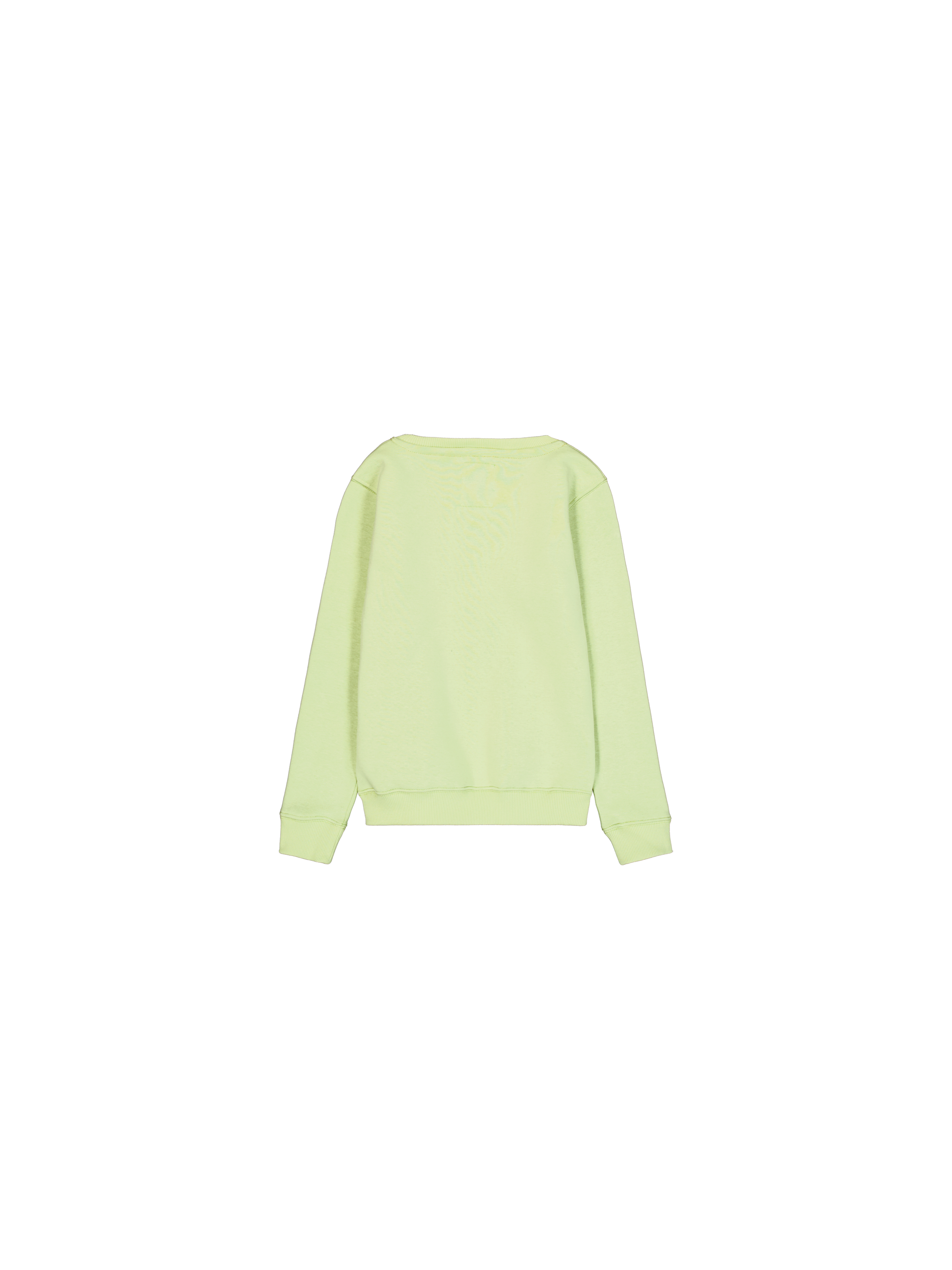 Basic Sweatshirt Kids Arctic Lime 198703_722_1_flatlay_00002_96829