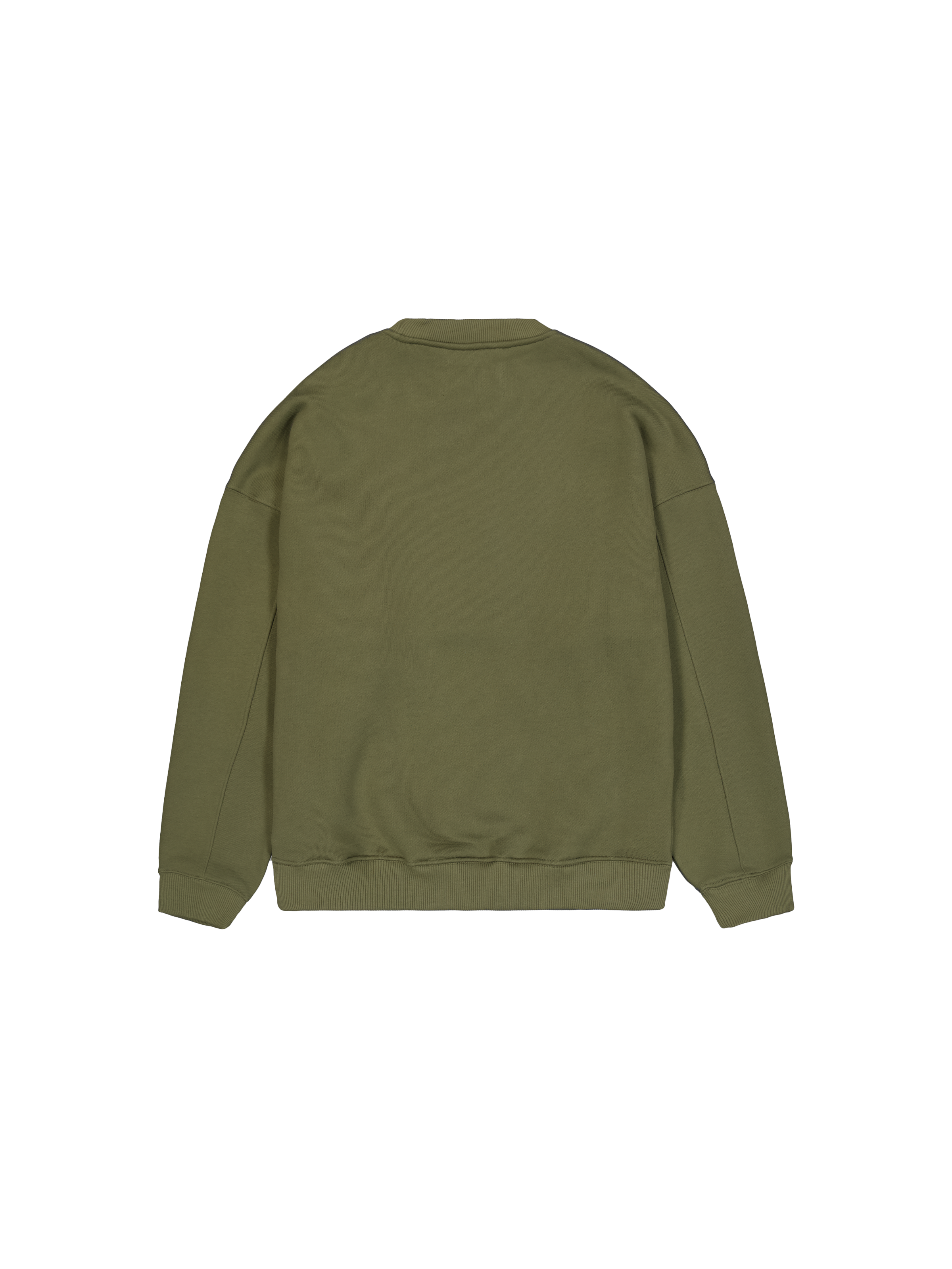 UV Sweatshirt sage-green 146302UV_01_1_flatlay_00002_99138