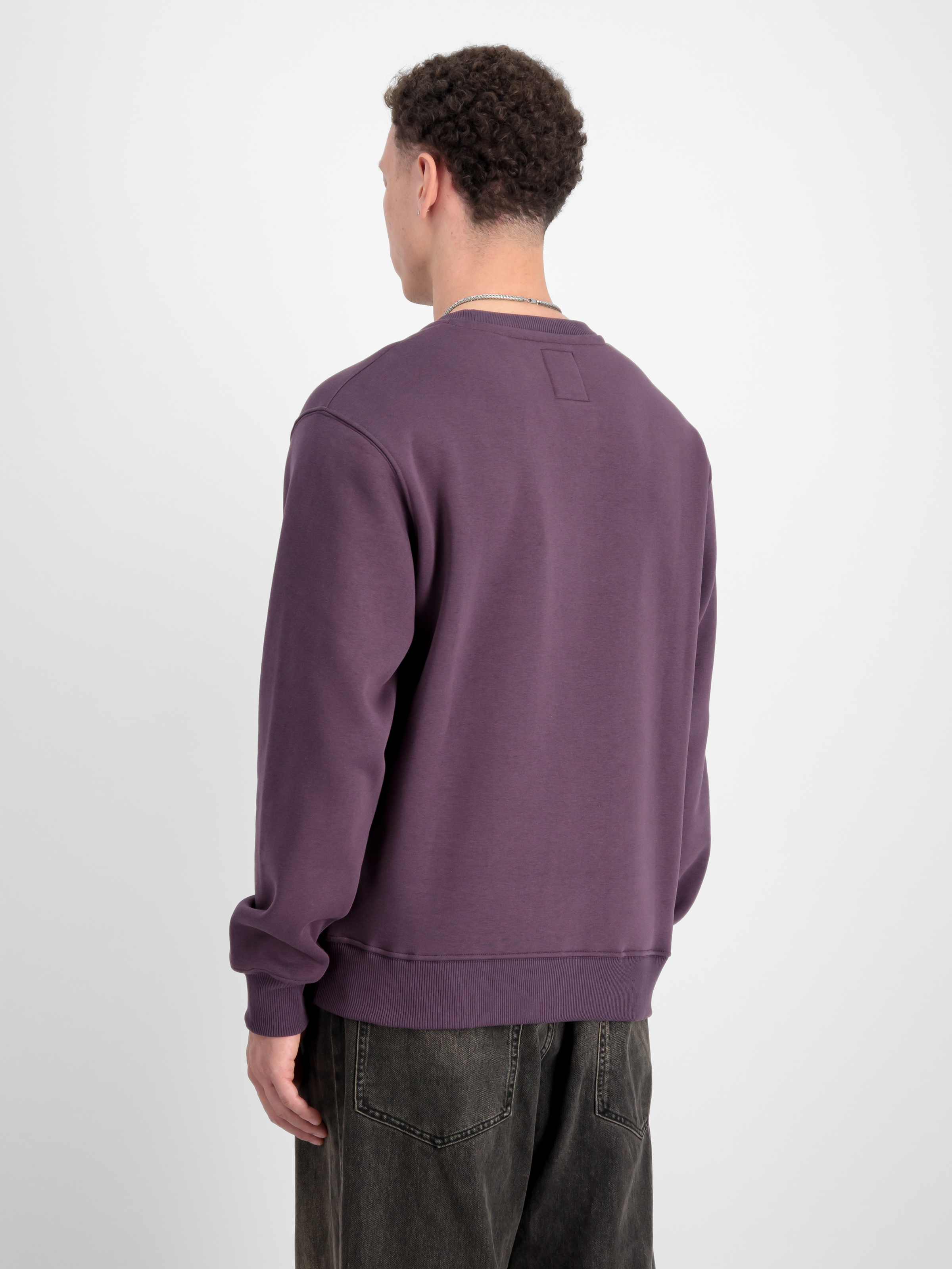 Basic Small Logo Sweatshirt Plum 188307_719_2_model_00004_97395