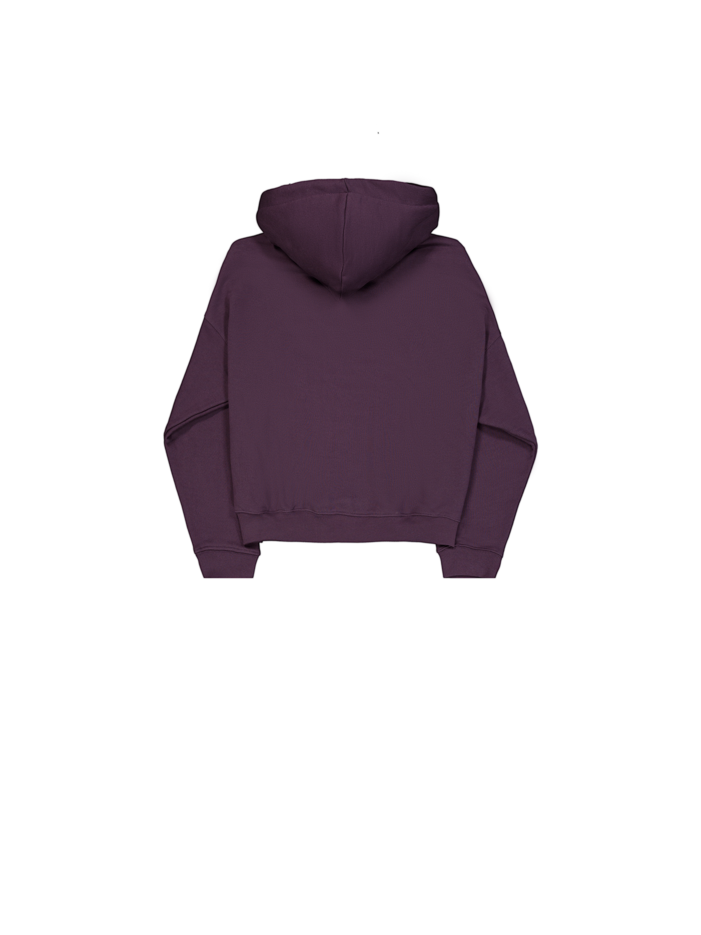 Alpha Essentials Rubber Logo Hoodie Women Plum 146041_719_1_flatlay_00002_102247