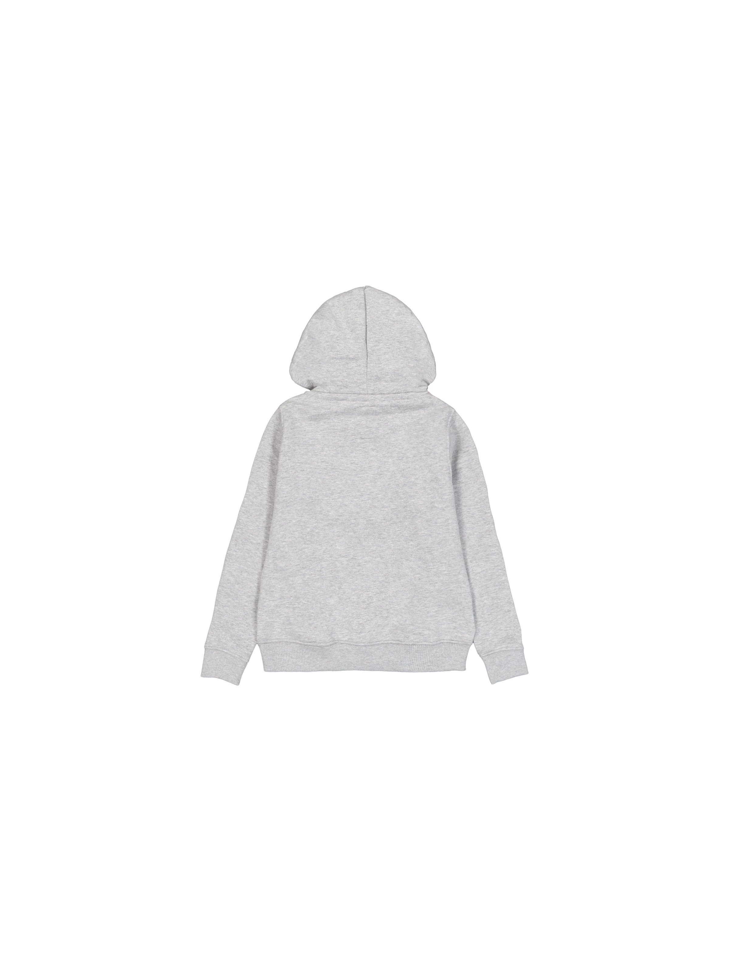 Basic Hoodie Kids grey heather 196701_17_1_flatlay_00002_101439