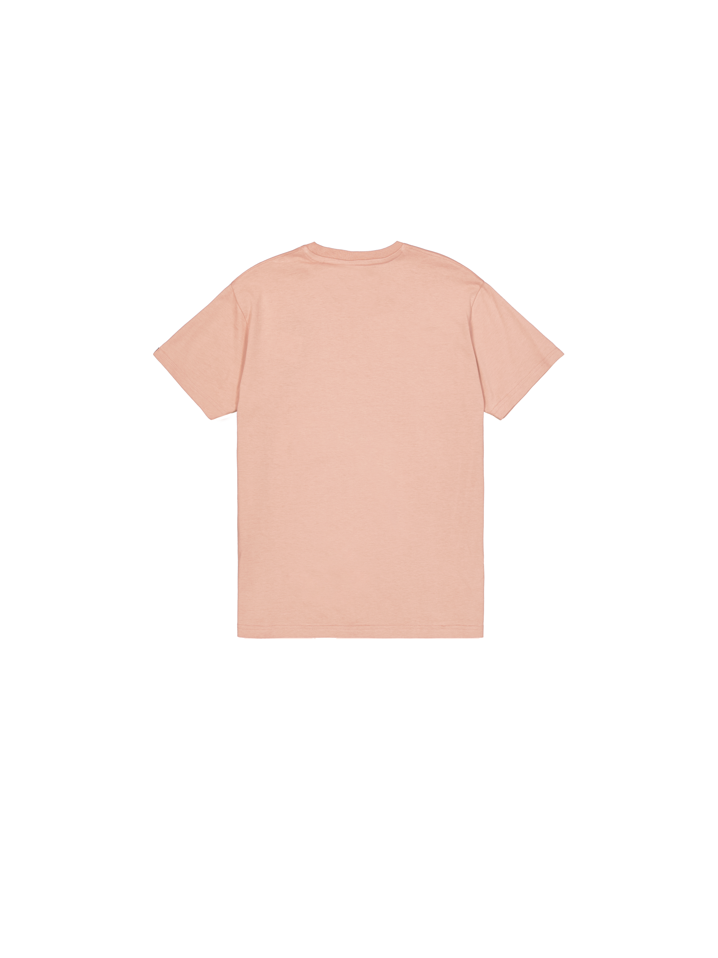 Basic T-Shirt Dusty Coral 100501_721_1_flatlay_00002_96899