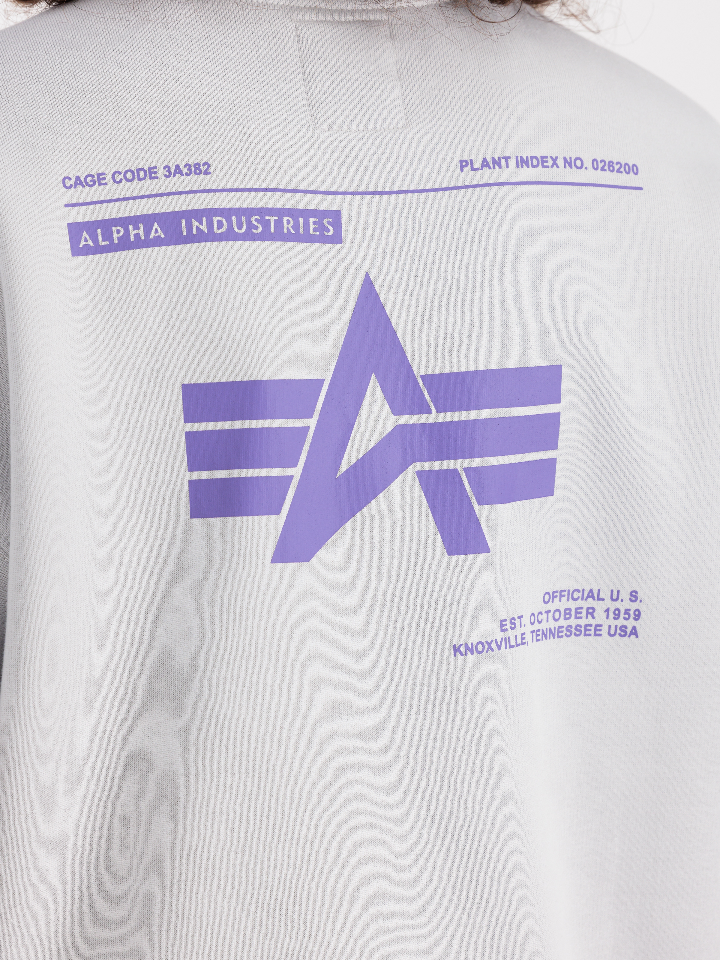 Logo Back Print Sweatshirt pastel grey 146304_666_3_detail_00001_99263