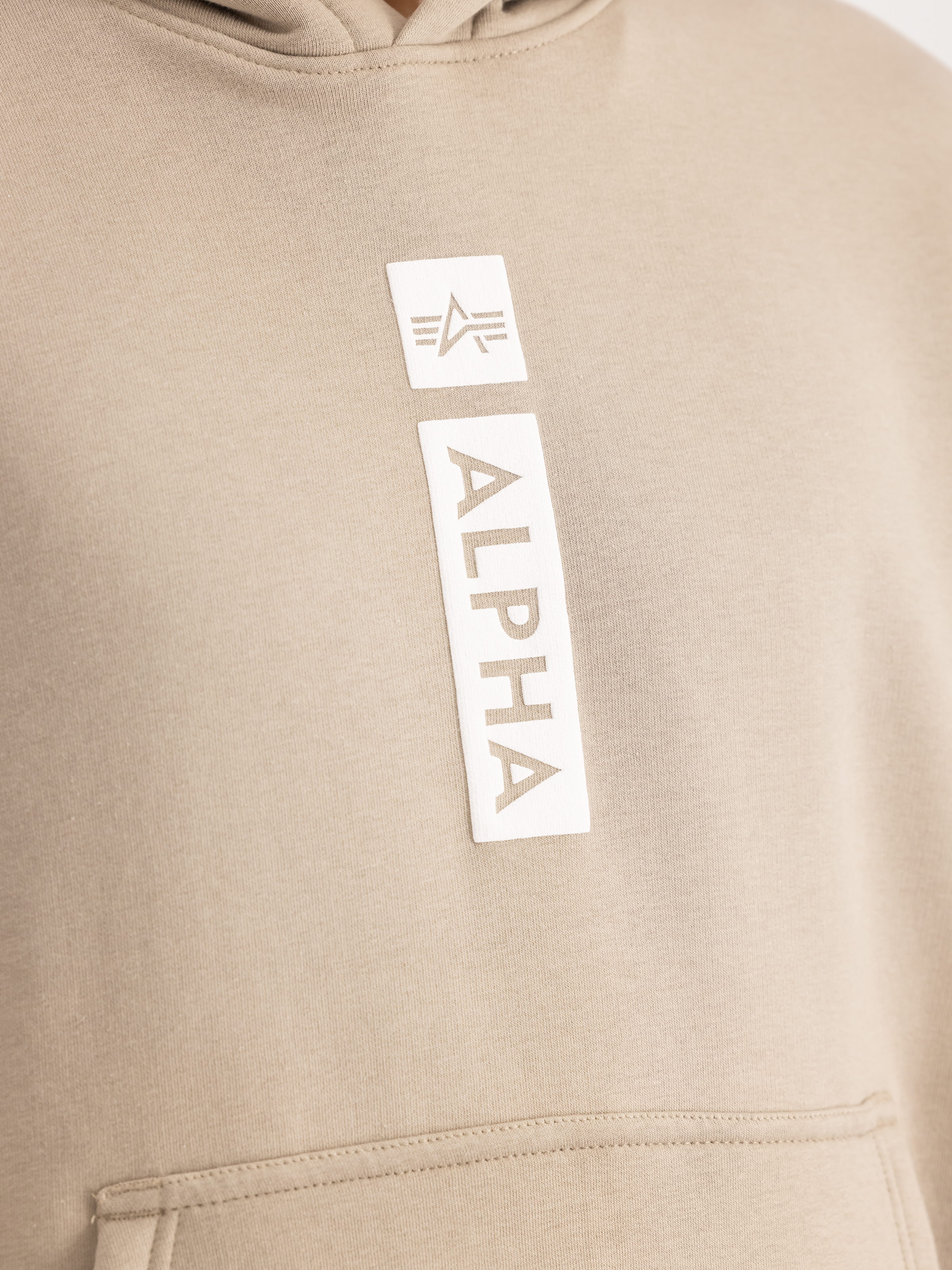 Alpha Puff Print Hoodie vintage sand 146338_679_3_detail_00001_99690