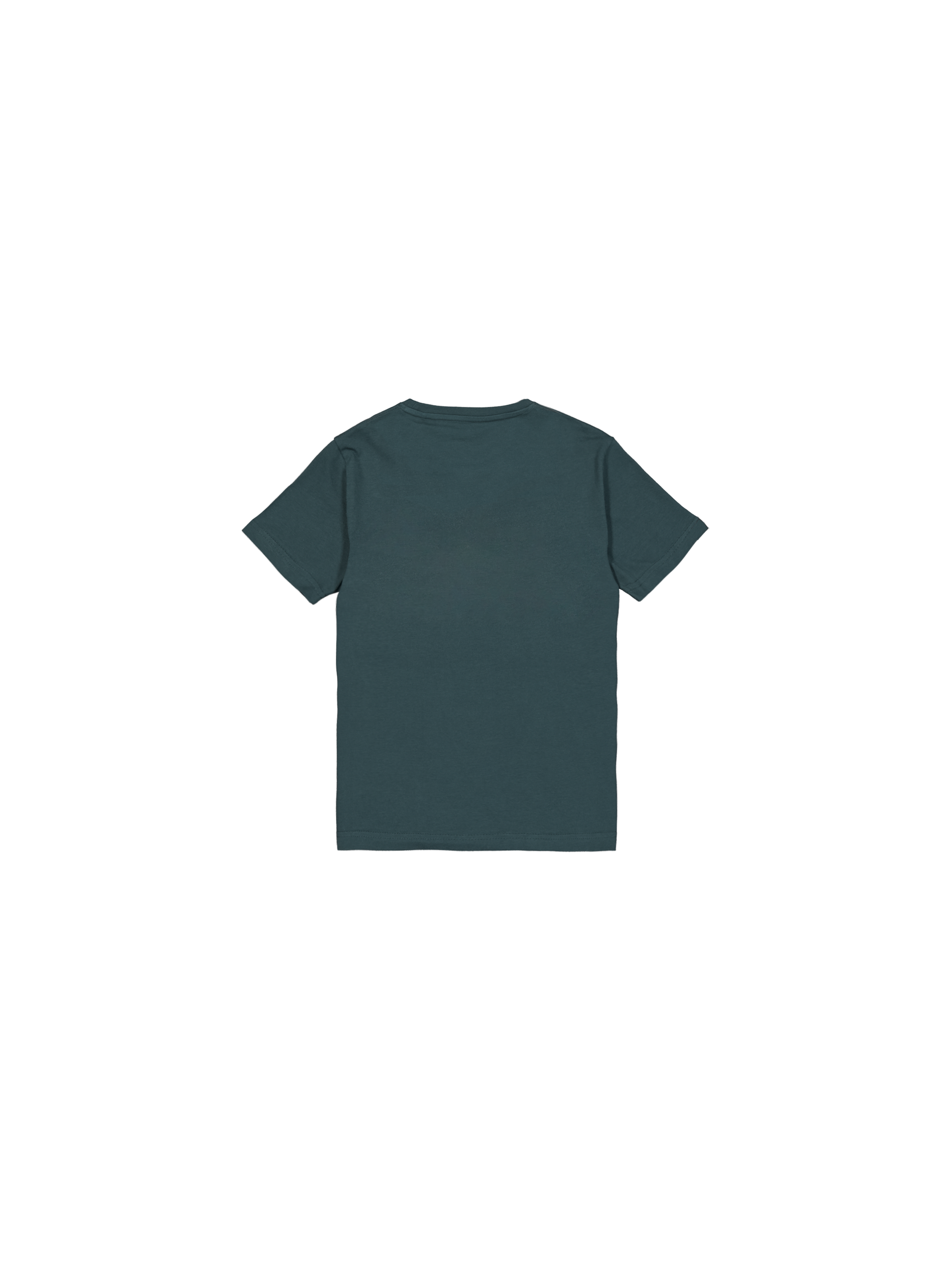 Basic T-Shirt Kids Force Green 196703_720_1_flatlay_00002_96914