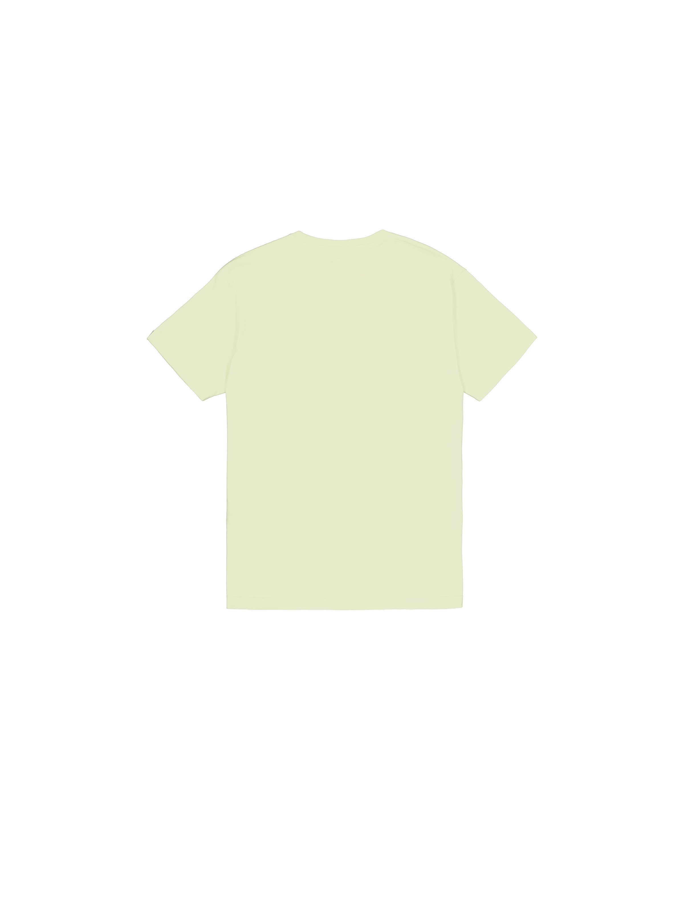 Basic T-Shirt Arctic Lime 100501_722_1_flatlay_00002_97014